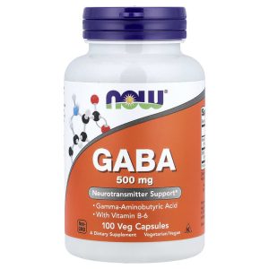 GABA 100 mg, 100 Veg Capsules by NOW Foods